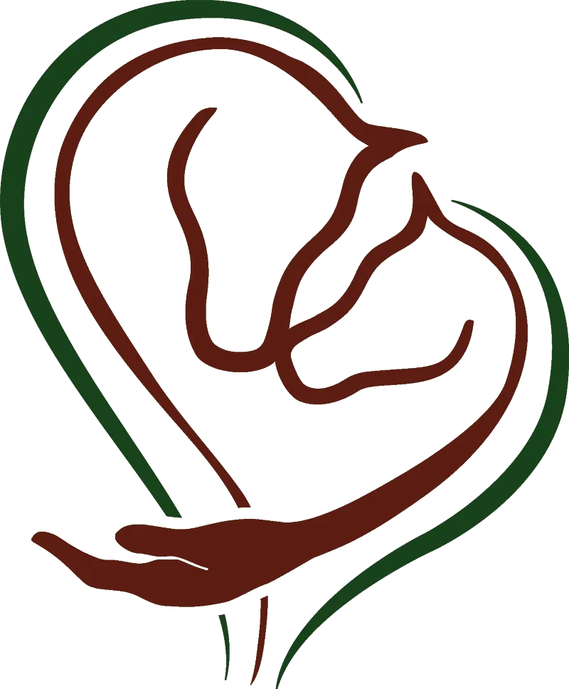 Logo Selina - Pferdetherapie 