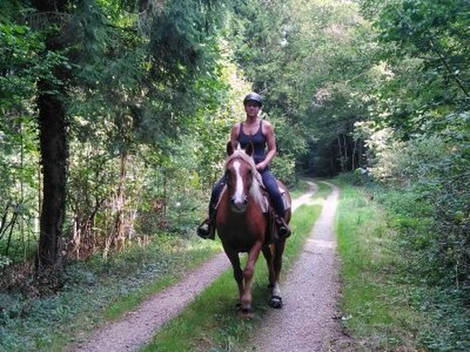 Selina – Pferdetherapie – Pferdetherapie für Jugendliche 