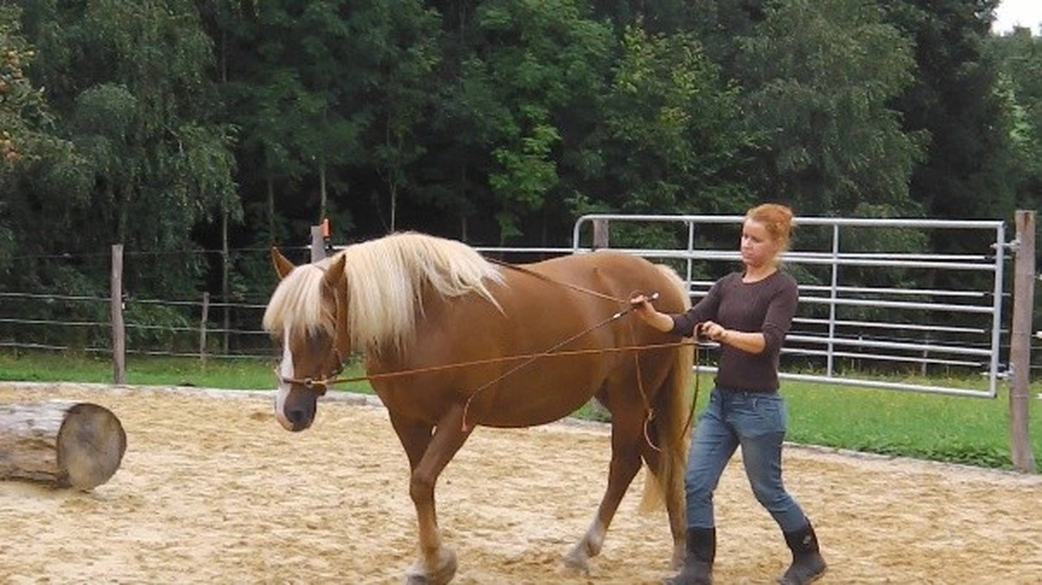 Selina – Pferdetherapie – Pferdetherapie für Jugendliche 