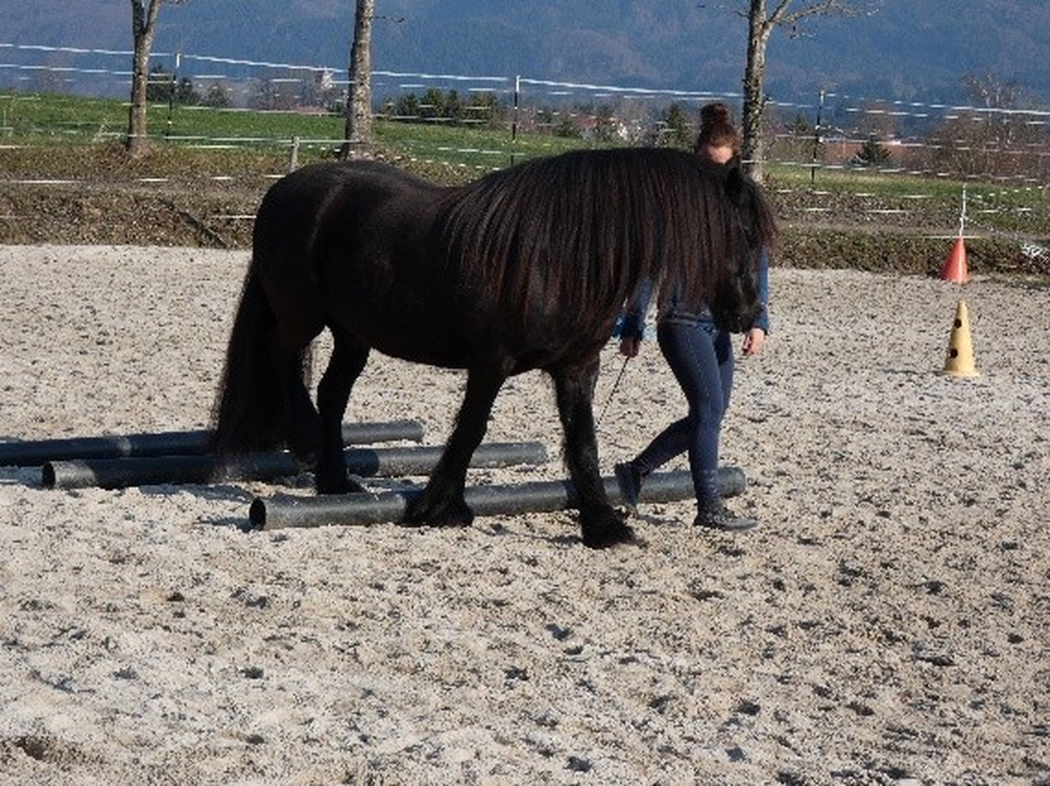 Selina - Pferdetherapie - Lernpsychologie