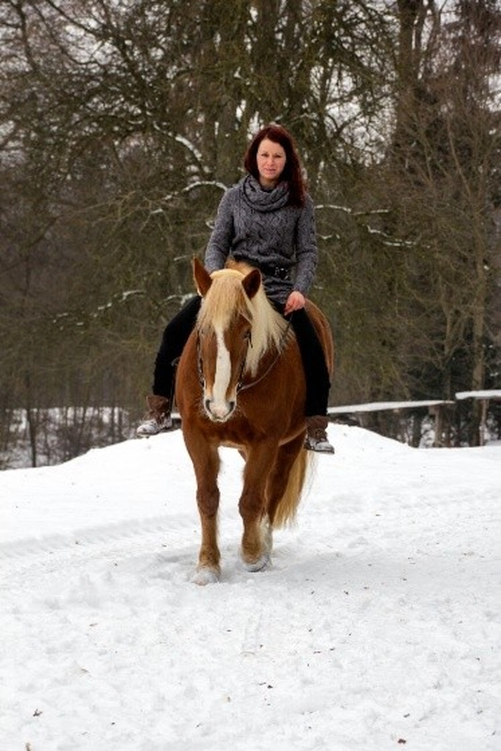 Selina – Pferdetherapie – Pferdetherapie für Jugendliche 