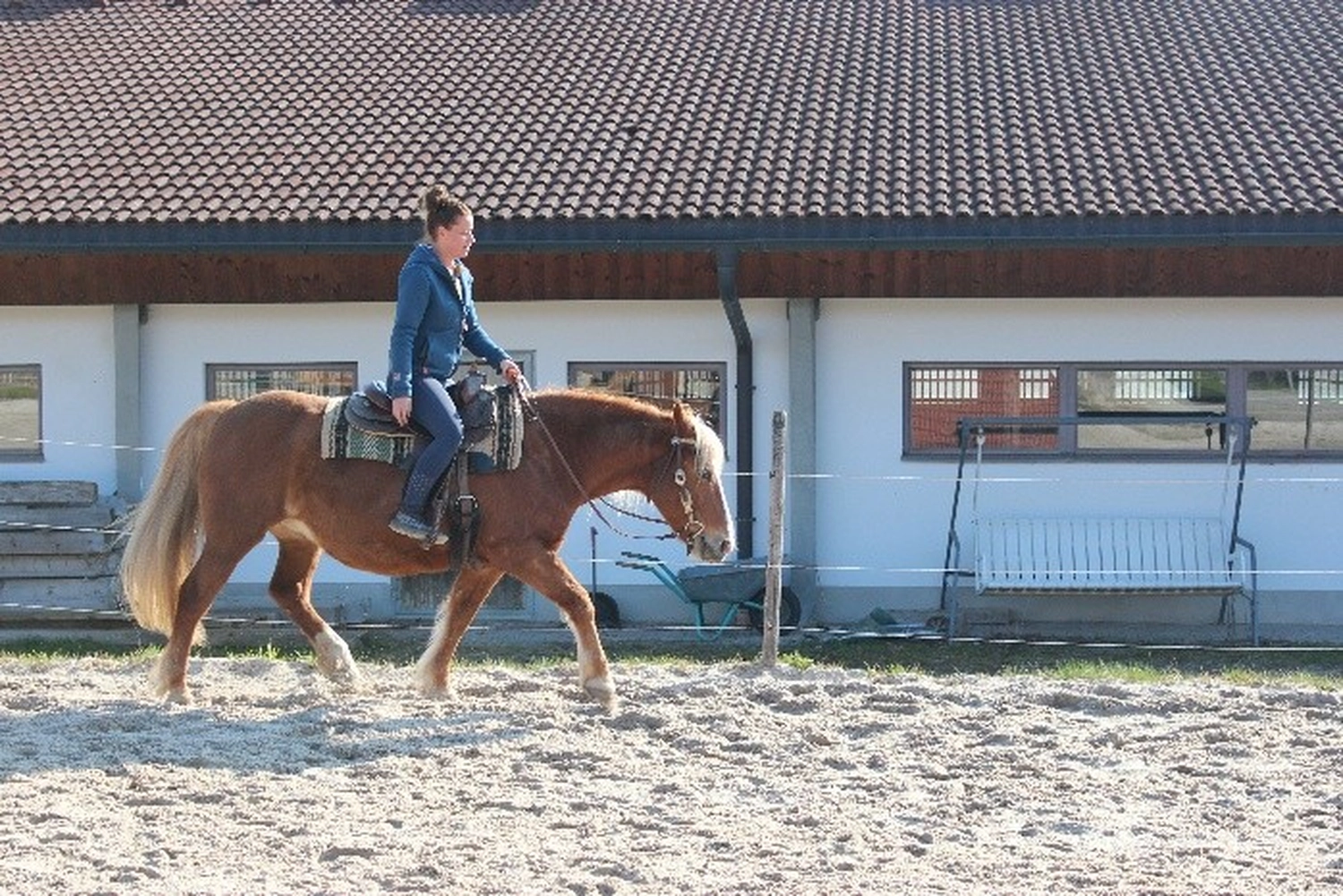 Selina – Pferdetherapie – Pferdetherapie für Jugendliche 