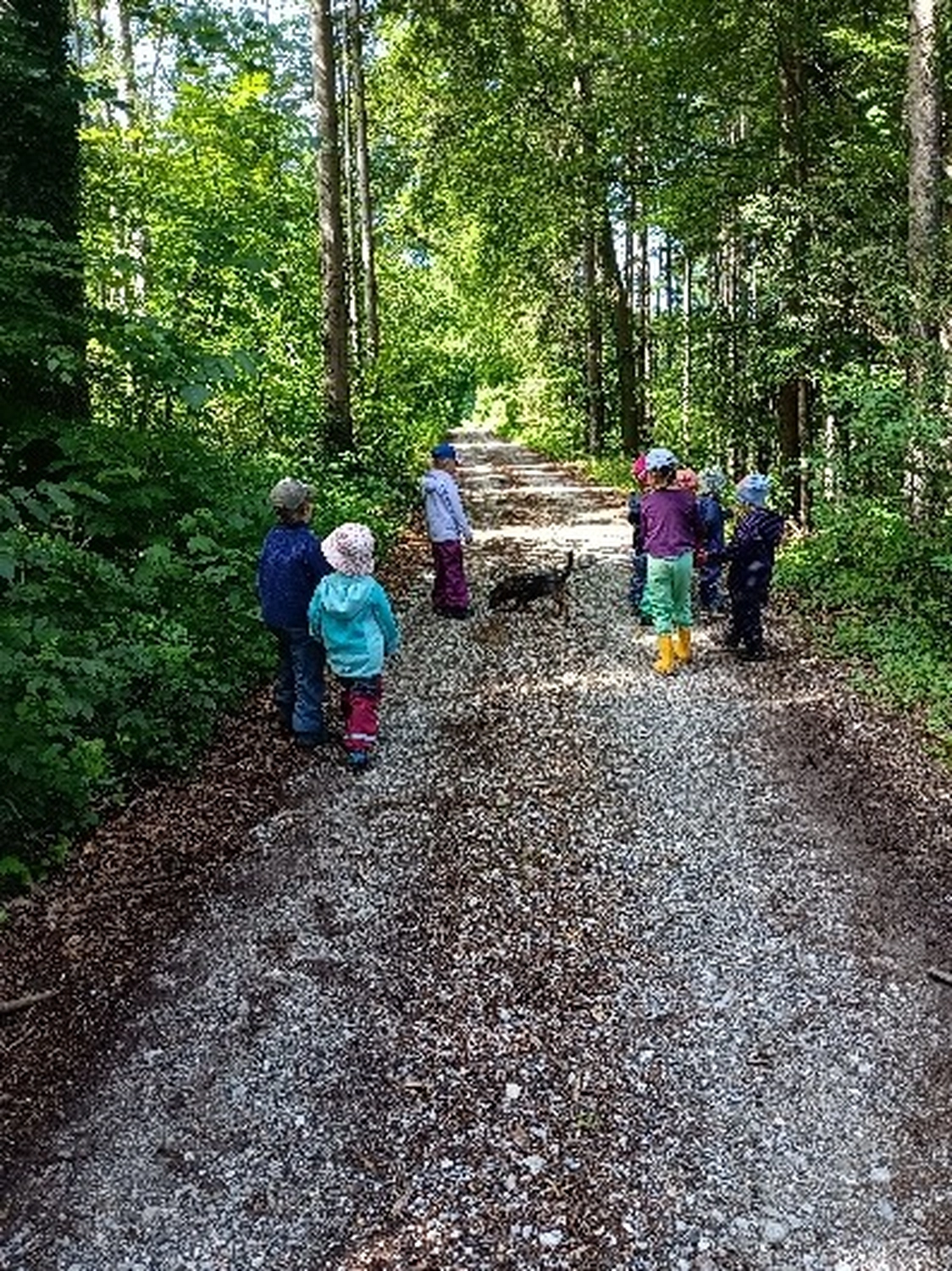 Selina - Pferdetherapie - Fleur