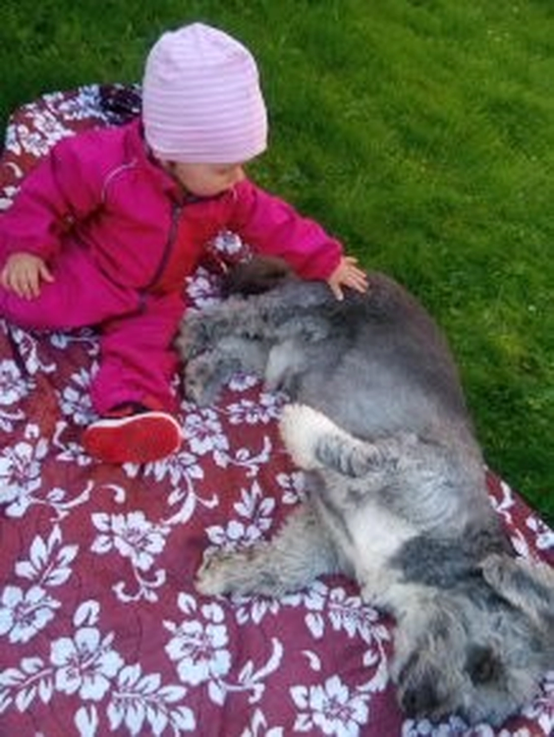 Selina - Pferdetherapie - Joschi