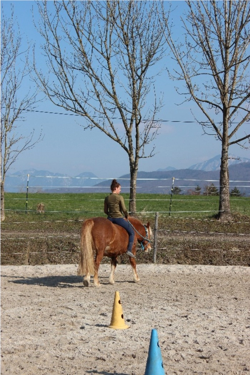 Selina - Pferdetherapie - Lernpsychologie