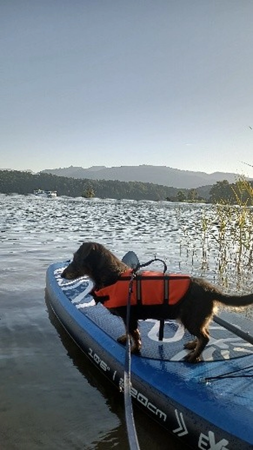 Selina - Pferdetherapie - Fleur