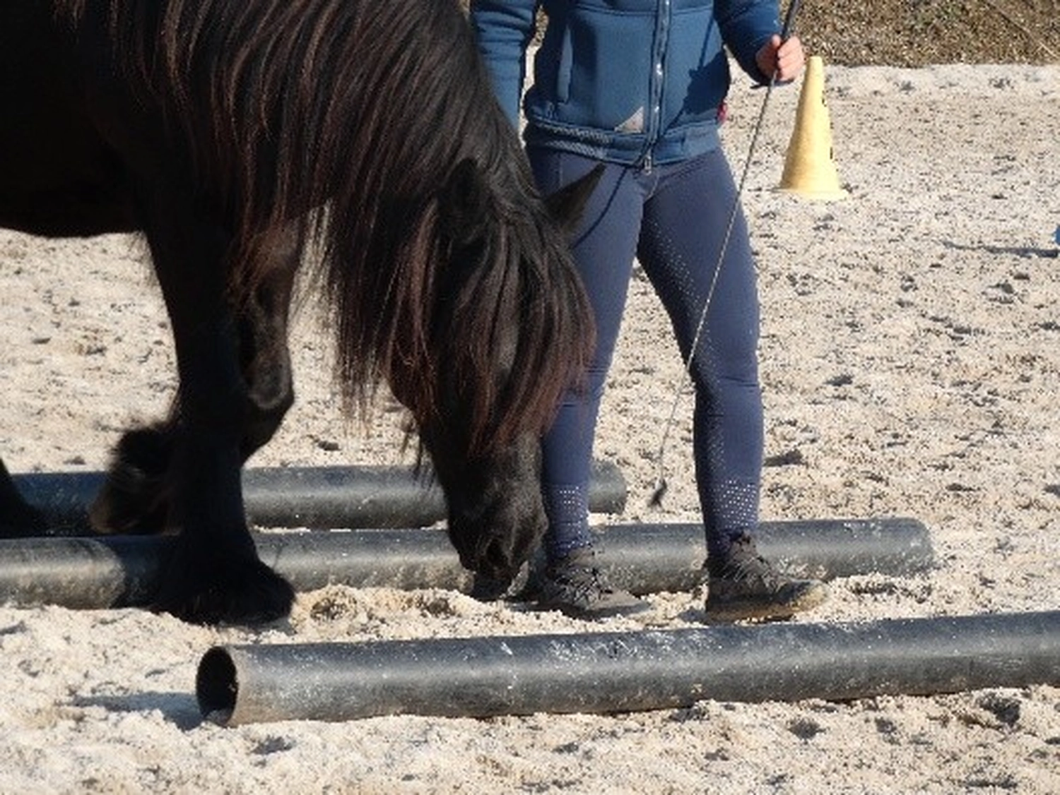 Selina - Pferdetherapie - Trainingseinheit 