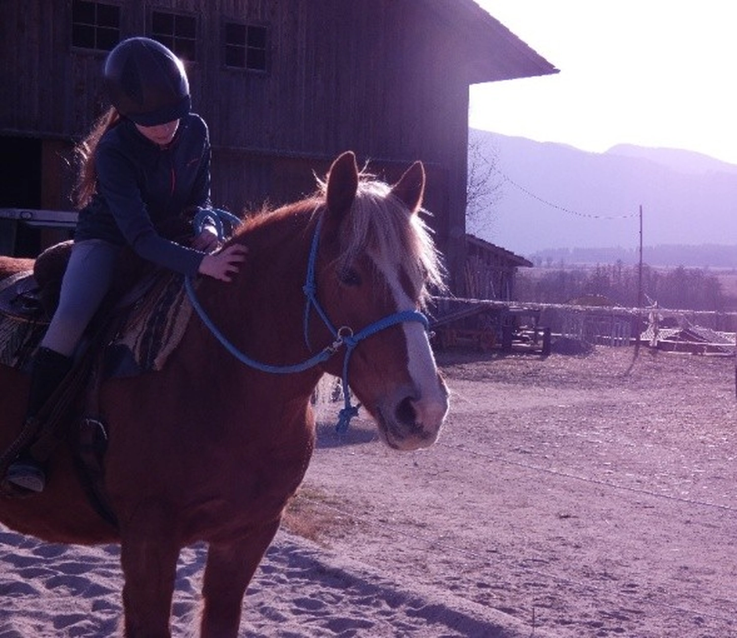 Selina - Pferdetherapie - Ponyranger