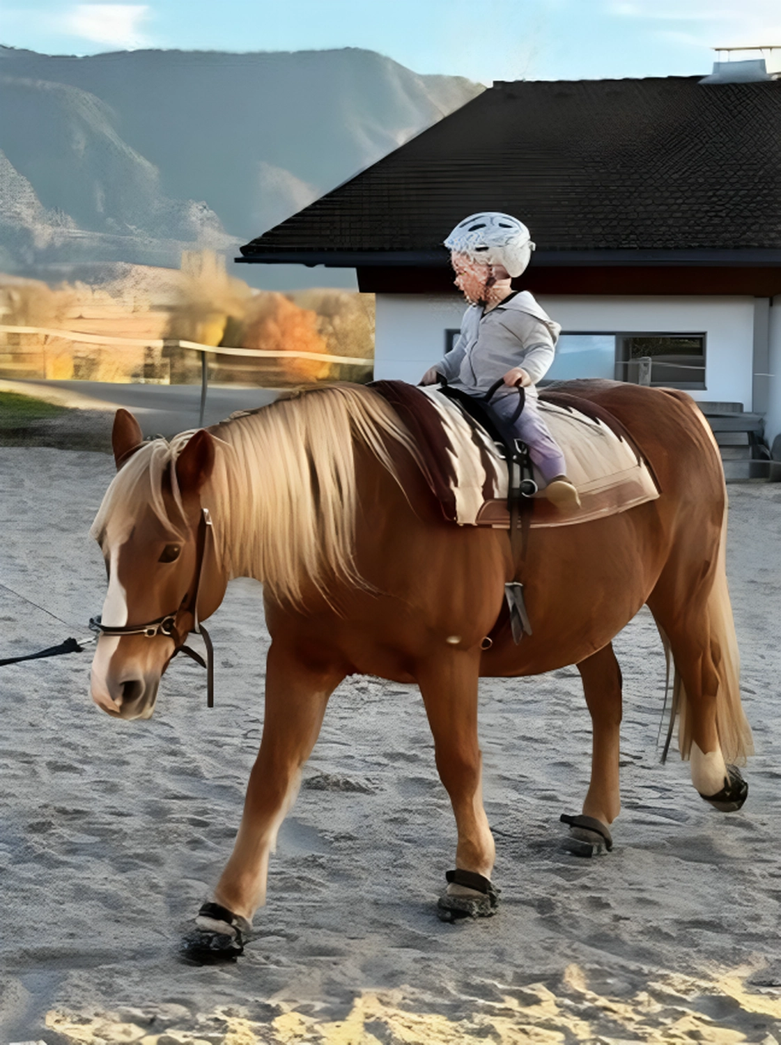 Selina - Pferdetherapie - Ponyzwergal