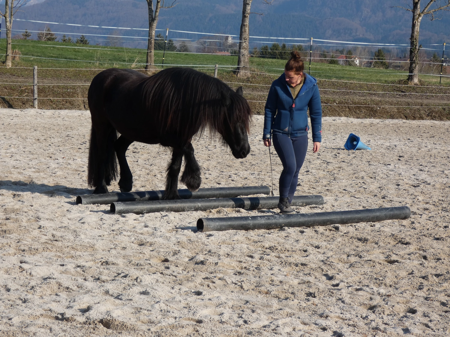Selina – Pferdetherapie – Pferdetherapie für Jugendliche 