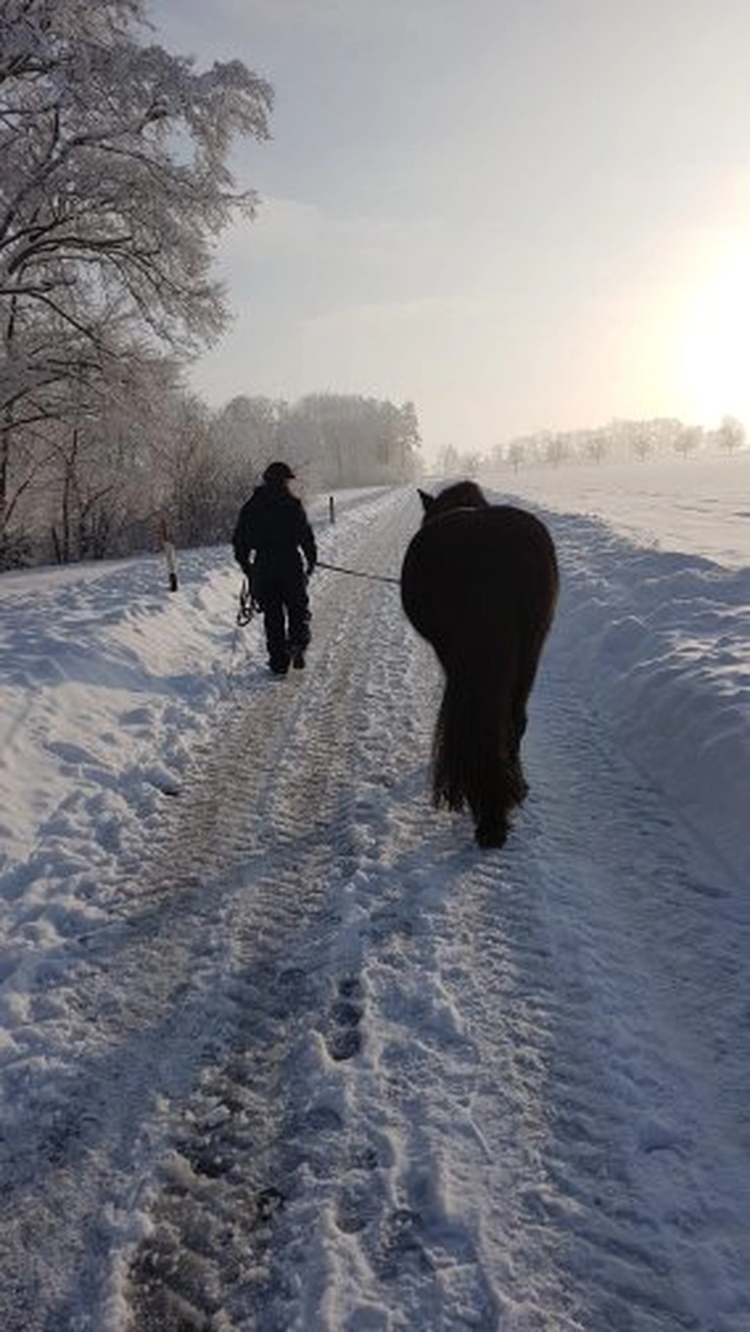Selina - Pferdetherapie - Lernpsychologie