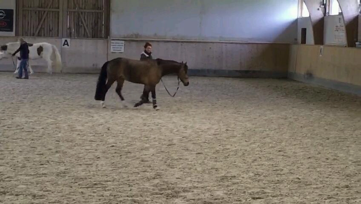 Selina - Pferdetherapie - Lernpsychologie