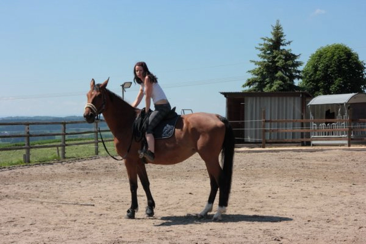 Selina - Pferdetherapie - Lernpsychologie