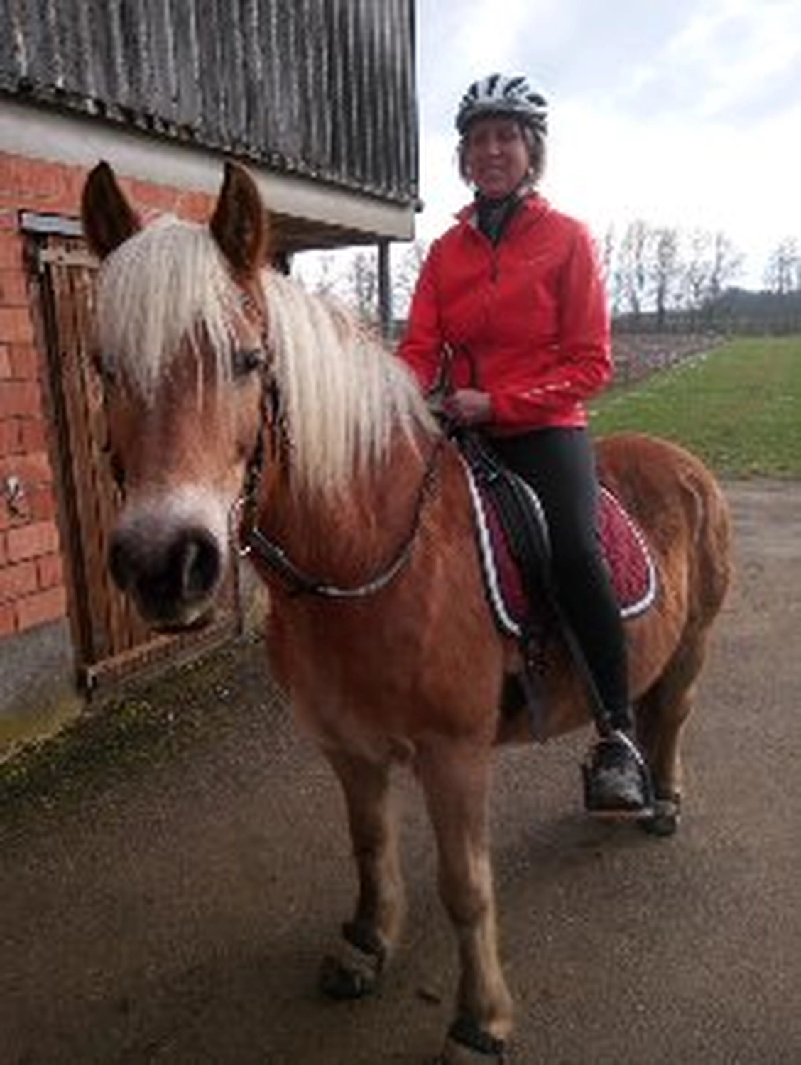 Selina - Pferdetherapie - Lernpsychologie