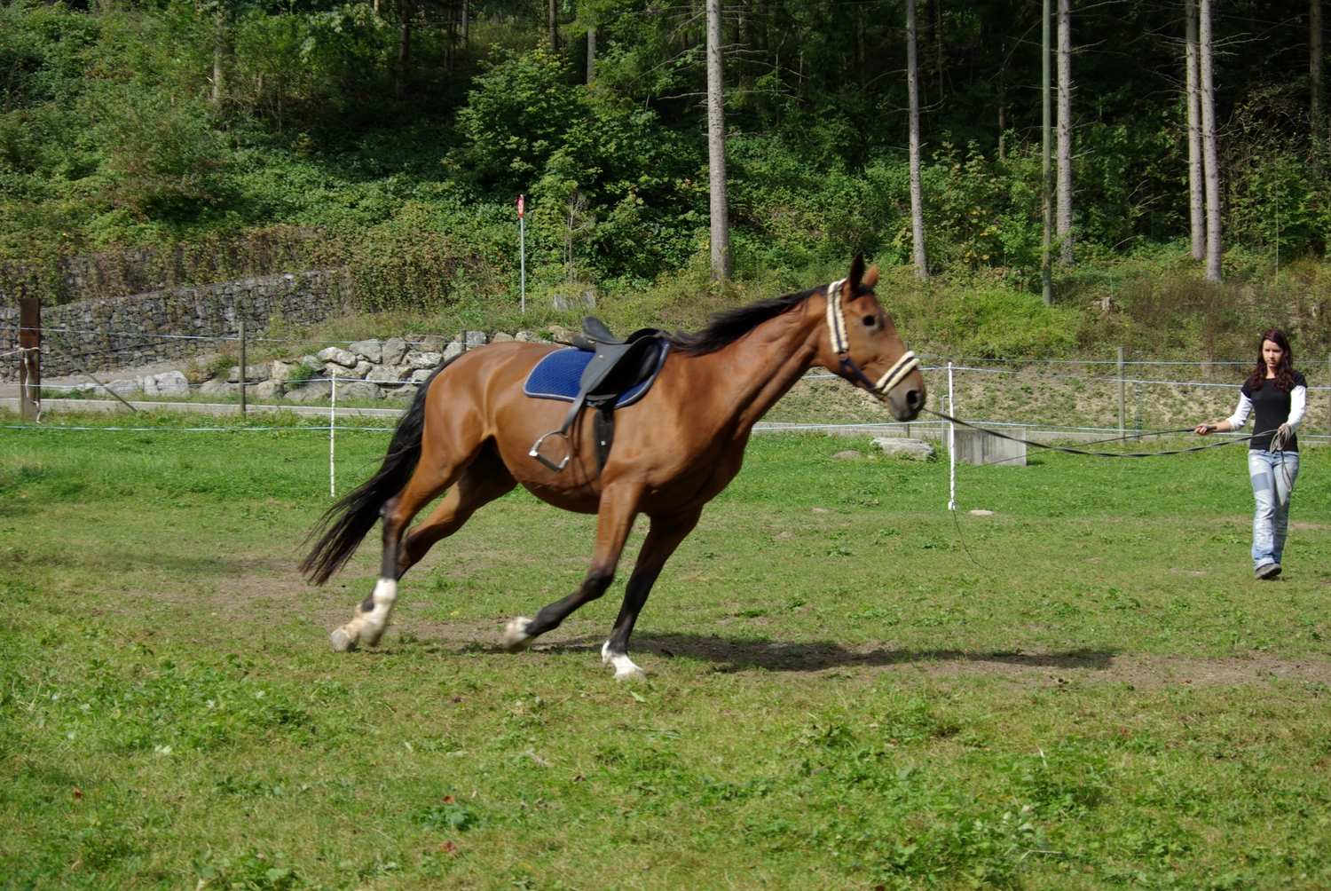 Selina - Pferdetherapie - Lernpsychologie