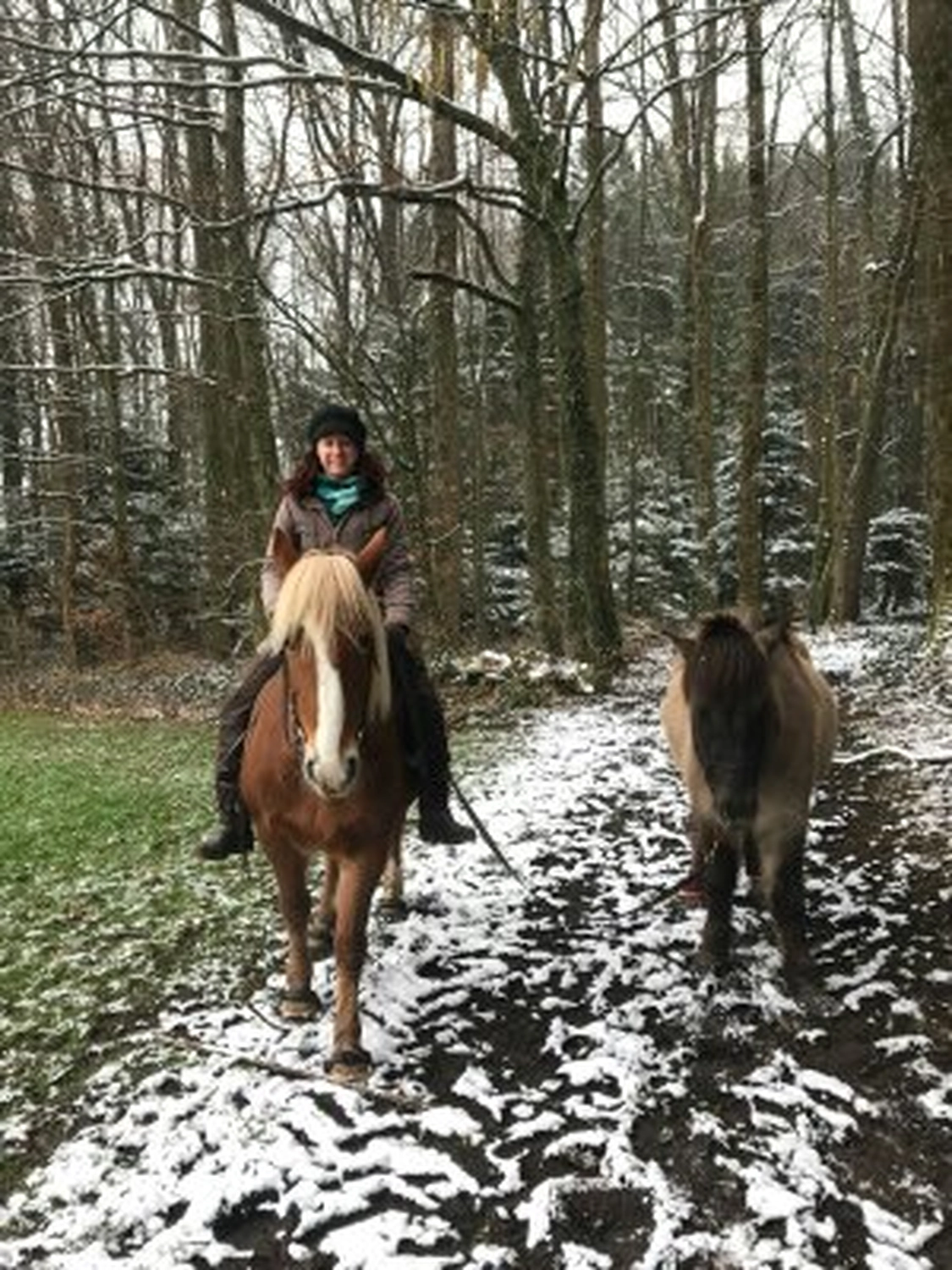 Selina - Pferdetherapie - Lernpsychologie