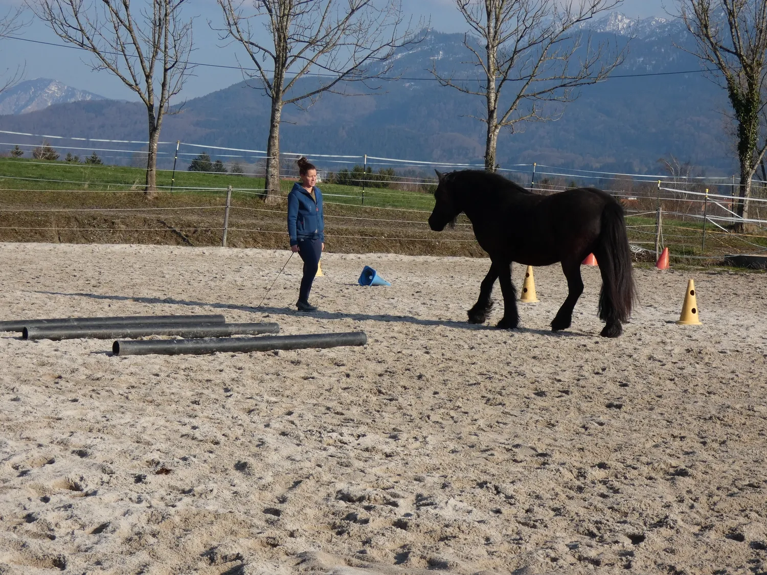 Selina – Pferdetherapie – Pferdetherapie für Jugendliche 