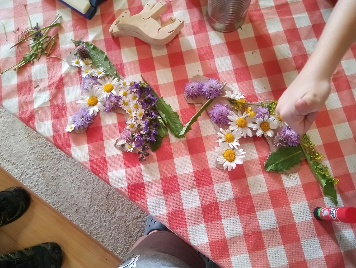 Selina - Pferdetherapie - Reitpädagogik