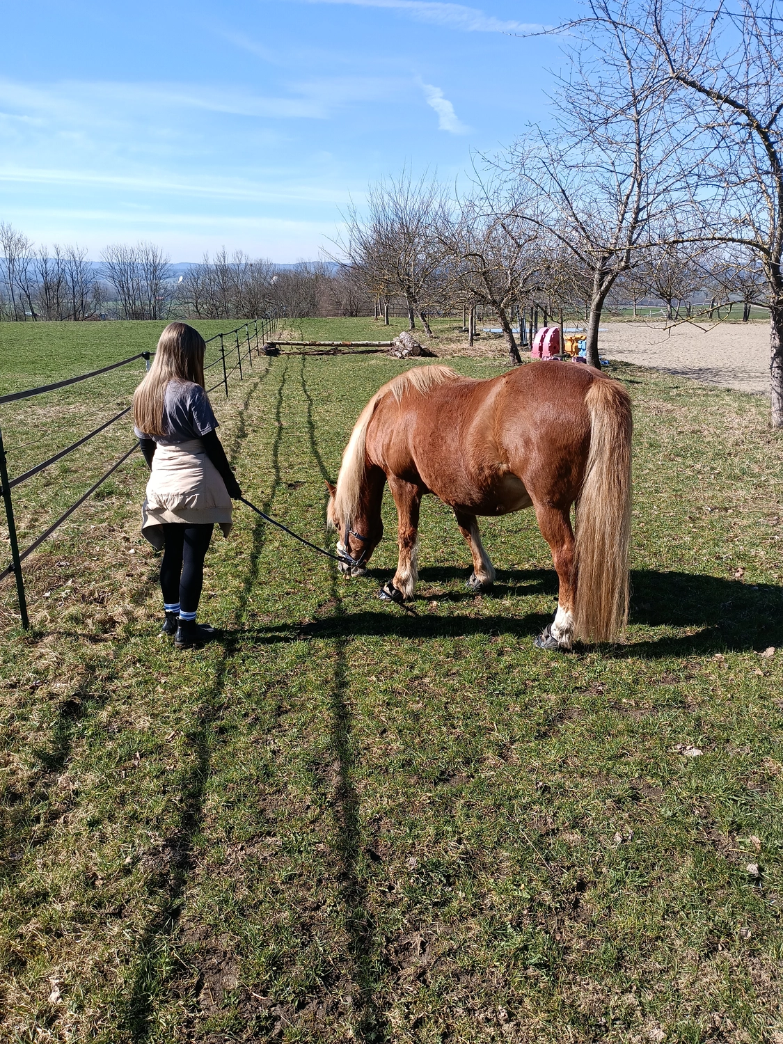 Selina - Pferdetherapie - Reitpädagogik