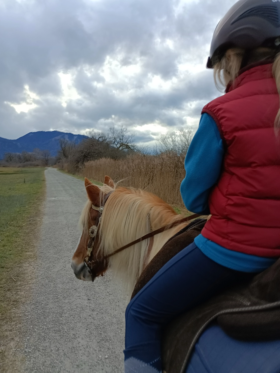 Selina - Pferdetherapie - Ponyfreinde