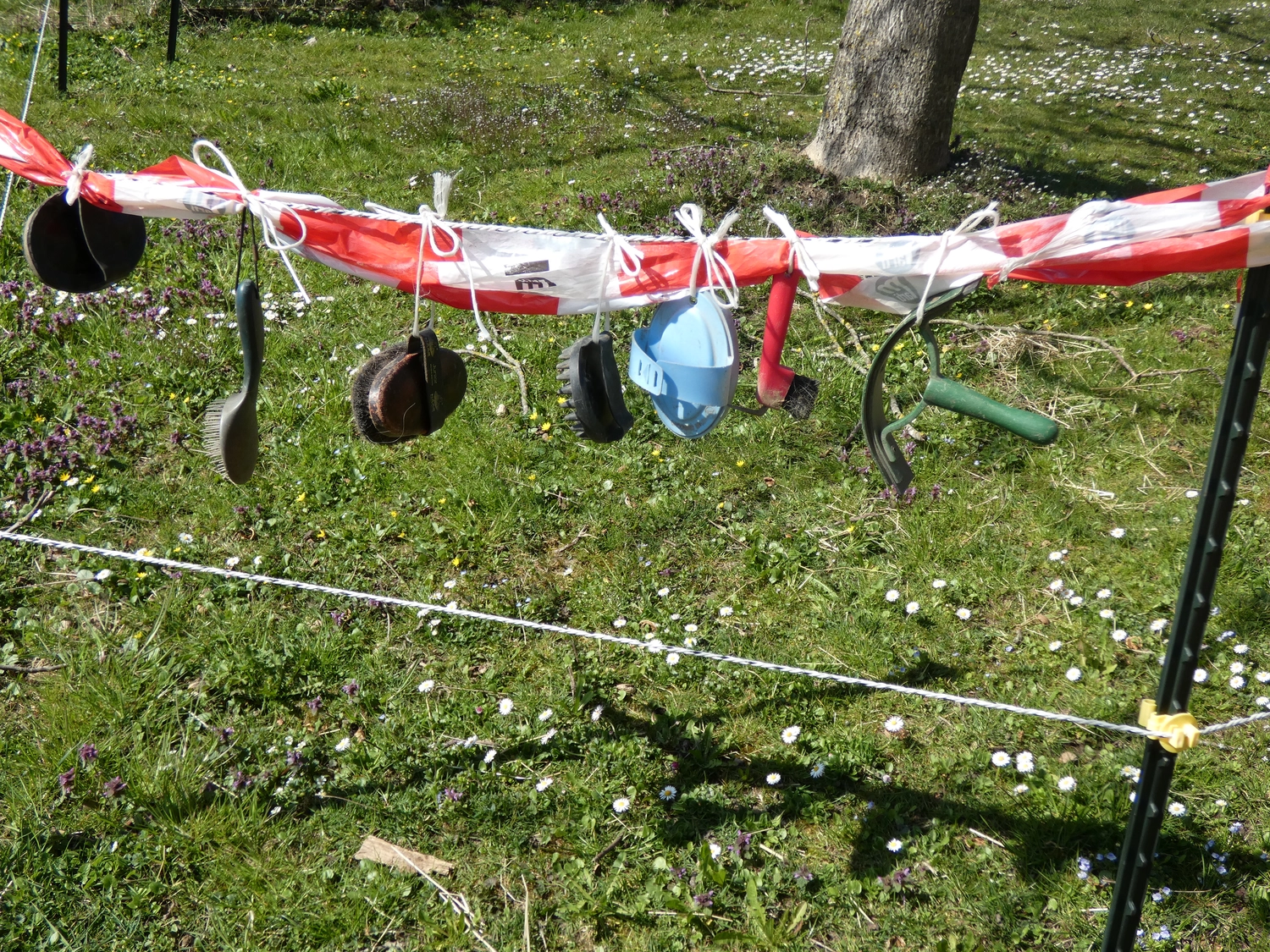 Selina - Pferdetherapie - Ponyfreinde