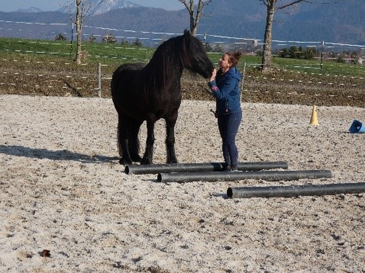 Selina - Pferdetherapie - Trainingseinheit 