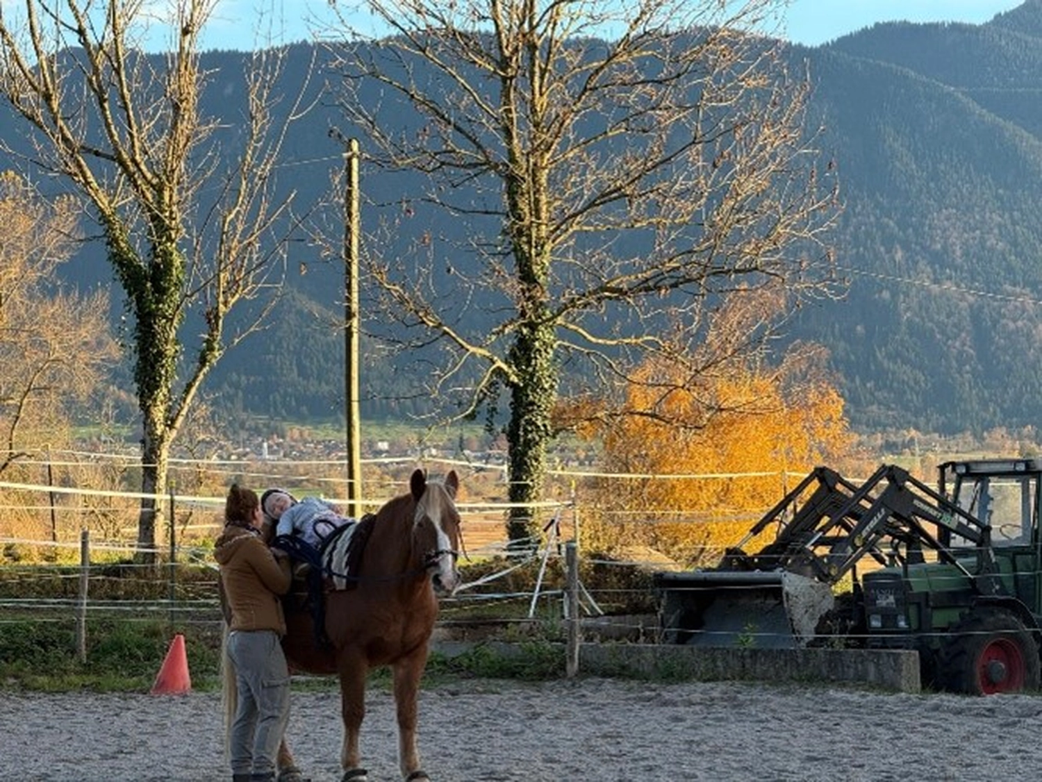 Selina - Pferdetherapie - Reitpädagogik