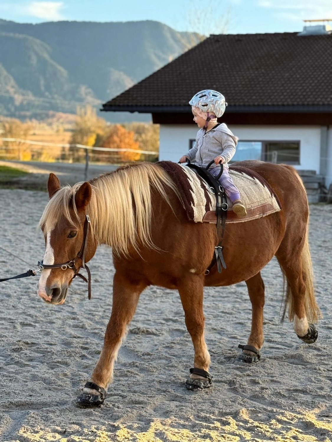 Selina - Pferdetherapie - Ponyzwergal