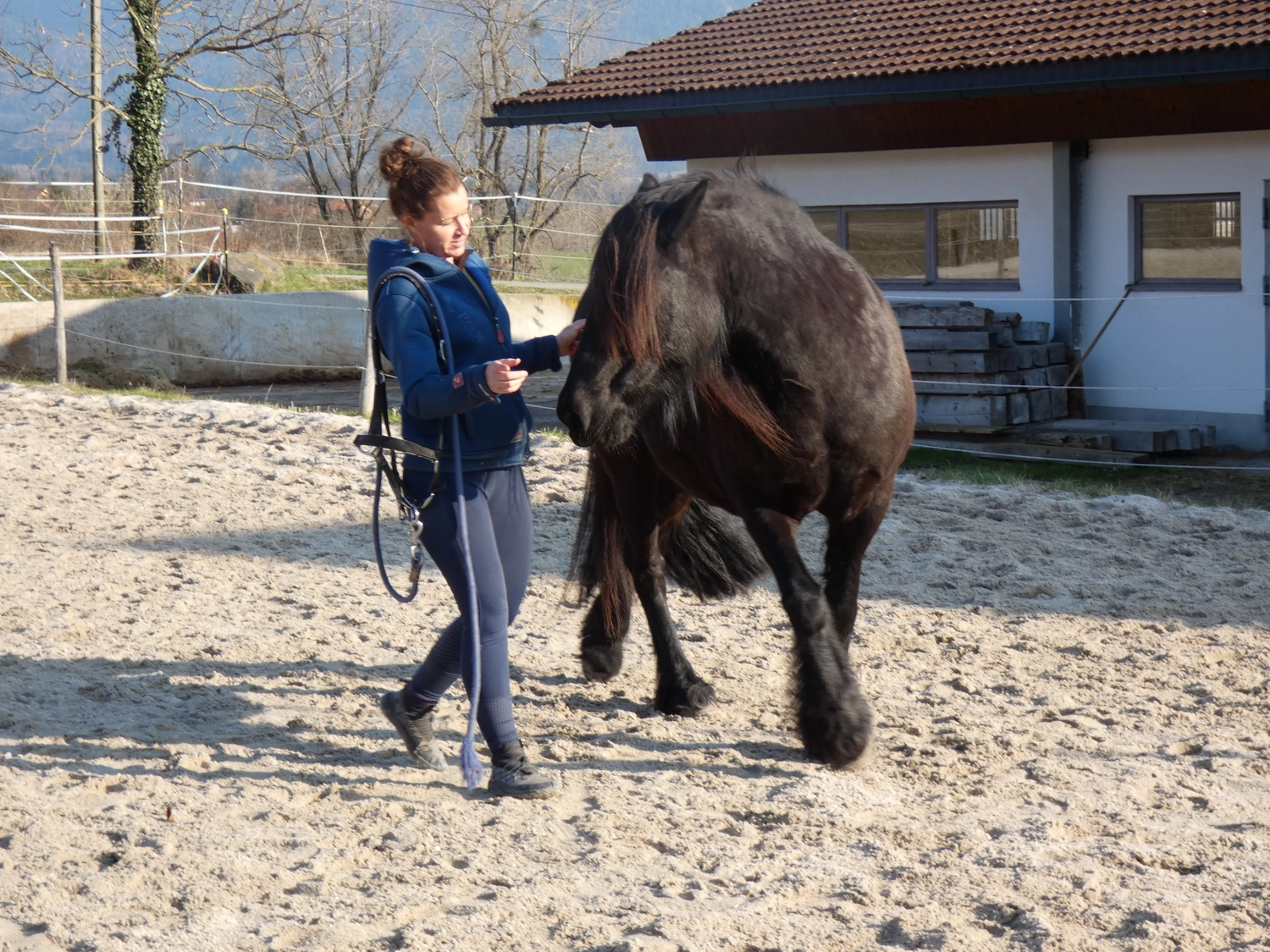 Selina - Pferdetherapie - Ponyschui