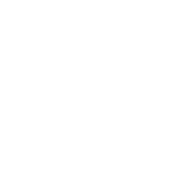 Selina – Pferdetherapie – Pfeil-nach-rechts-Symbol